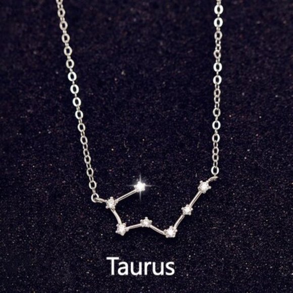 Jewelry - NEW 925 Sterling Silver Zodiac Necklace - Taurus